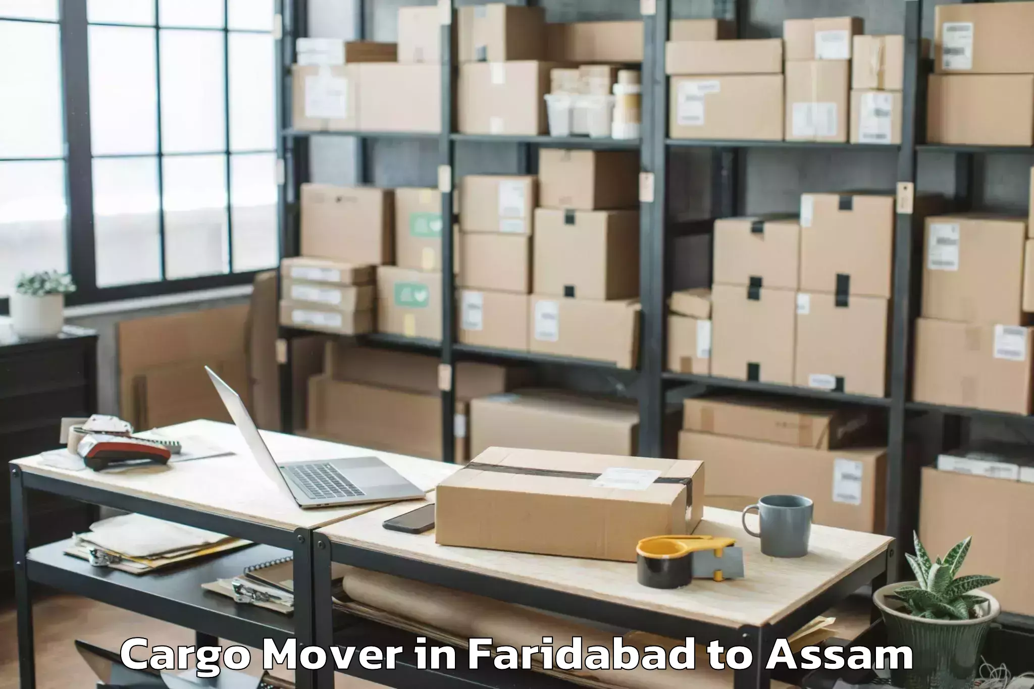 Trusted Faridabad to Moranhat Town Cargo Mover